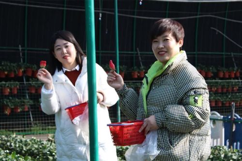 泰安一滕松峪酒店開展“3·8女神節(jié) 向莓好出發(fā)”主題活動